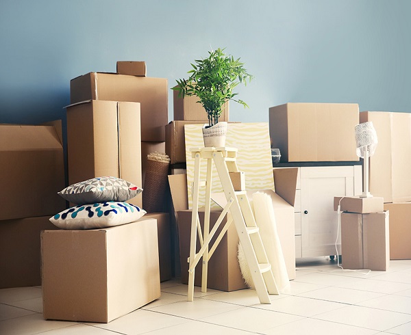 Best Packers and Movers in Jhansi